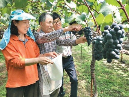 영동세탁소 이미지