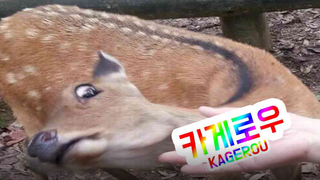 갤러리 프리뷰 이미지