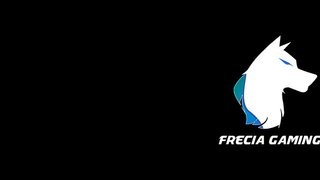 오버워치 준프로팀 Frecia Gaming에서 스폰서를 구합니다