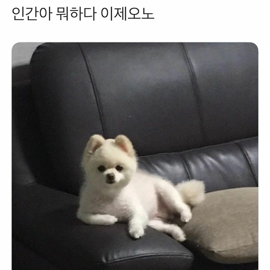 파이널판타지14 인벤 : 이 인간아 - 파이널판타지14 인벤 자유게시판 이 인간아