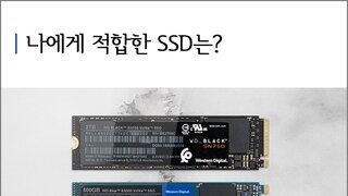 WD Black SN750 및 Blue SN500 총평, 나에게 적합한 NVMe PCIe SSD는?