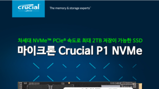 마이크론 SSD Crucial P1 사용기