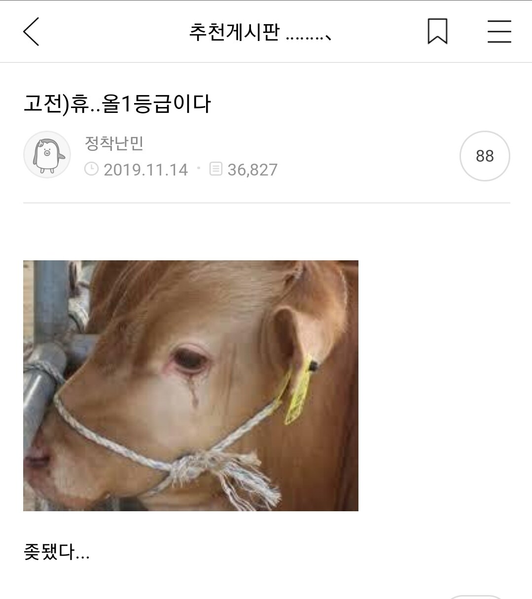 오버워치2 인벤 : 도탁스 드립 지린다.. - 오버워치2 인벤 자유게시판 도탁스 드립 지린다..