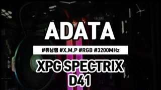 ADATA XPG SPECTRIX D41 메모리