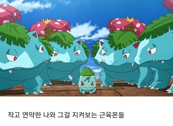 그림자 달 시장 달그늘 책방 떠상, 상인 질문 | 로아 인벤