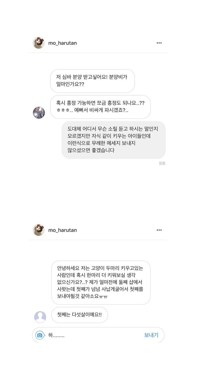 인스타 유명 냥이 집사가 받은 디엠들 - 오픈이슈갤러리 - 인벤 인스타 유명 냥이 집사가 받은 디엠들 - 오픈이슈갤러리