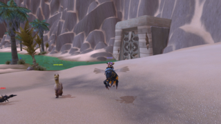 갤러리 프리뷰 이미지